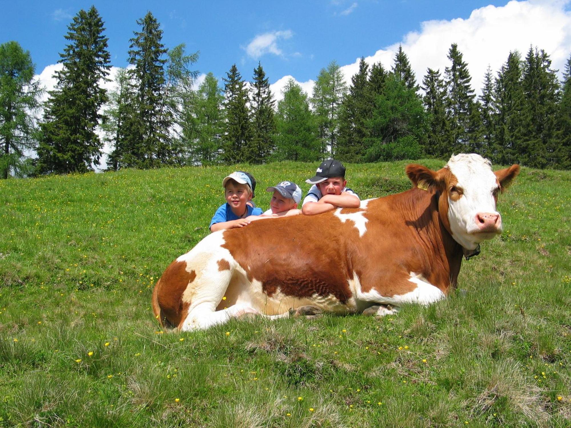Sportbauernhof - Gasthaus Hochalmblick Krems in Kaernten Esterno foto